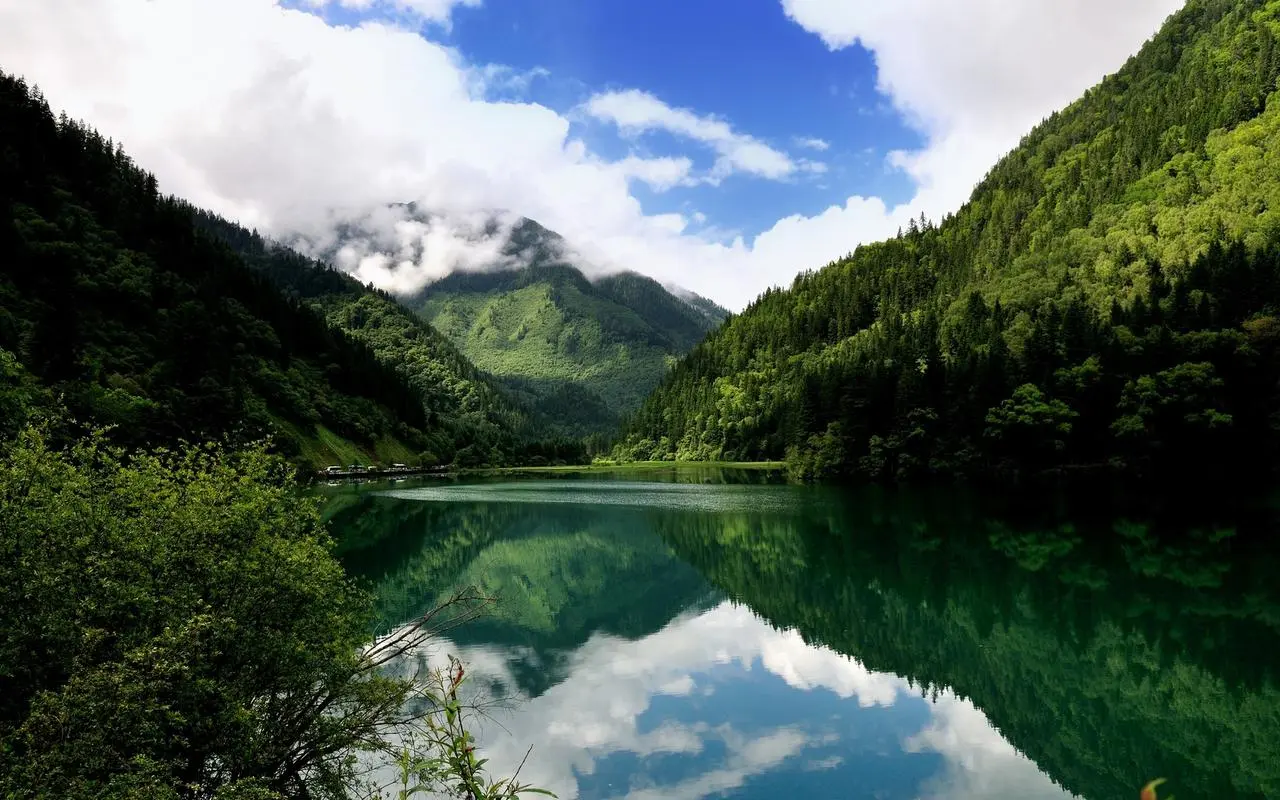 科技高效智慧